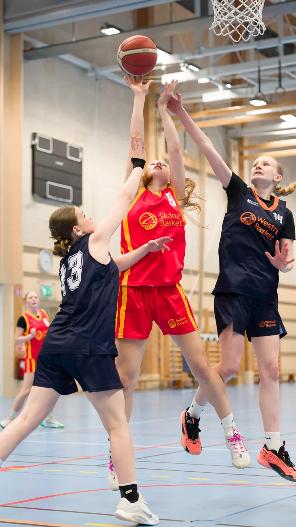 Bild 4 DLT Kungsbacka 2025